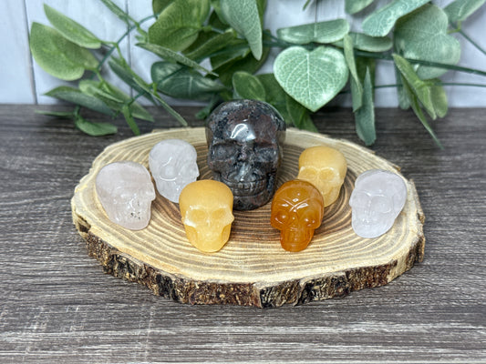 Skull Carvings