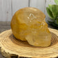Large Golden Healer Skull
