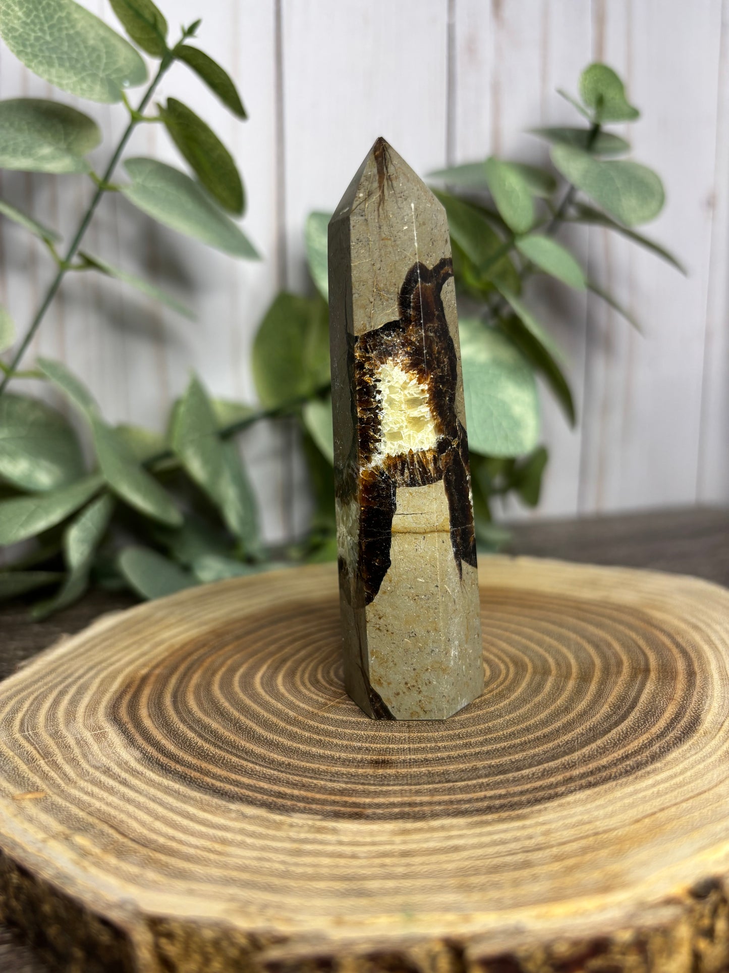 Septarian Tower