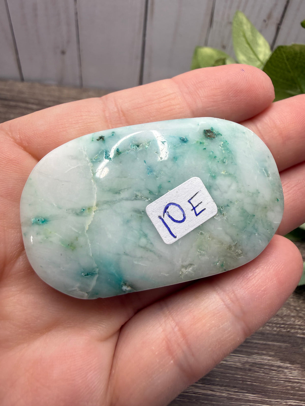 Phoenix Stone Palm Stones