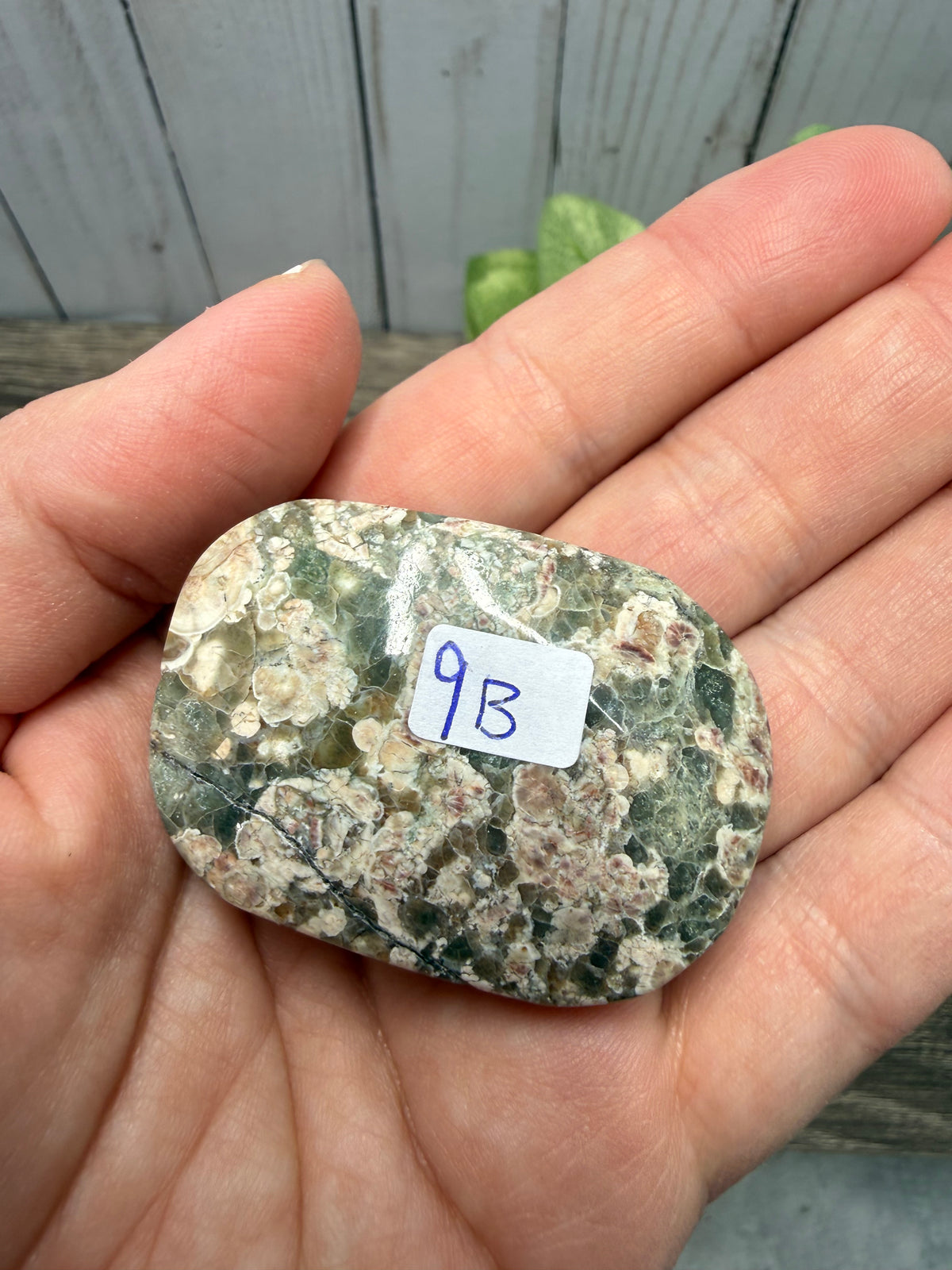 Russian Flower Agate Palm Stones