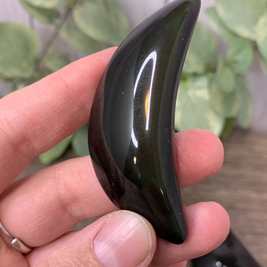 Moon Carvings - Rainbow Obsidian