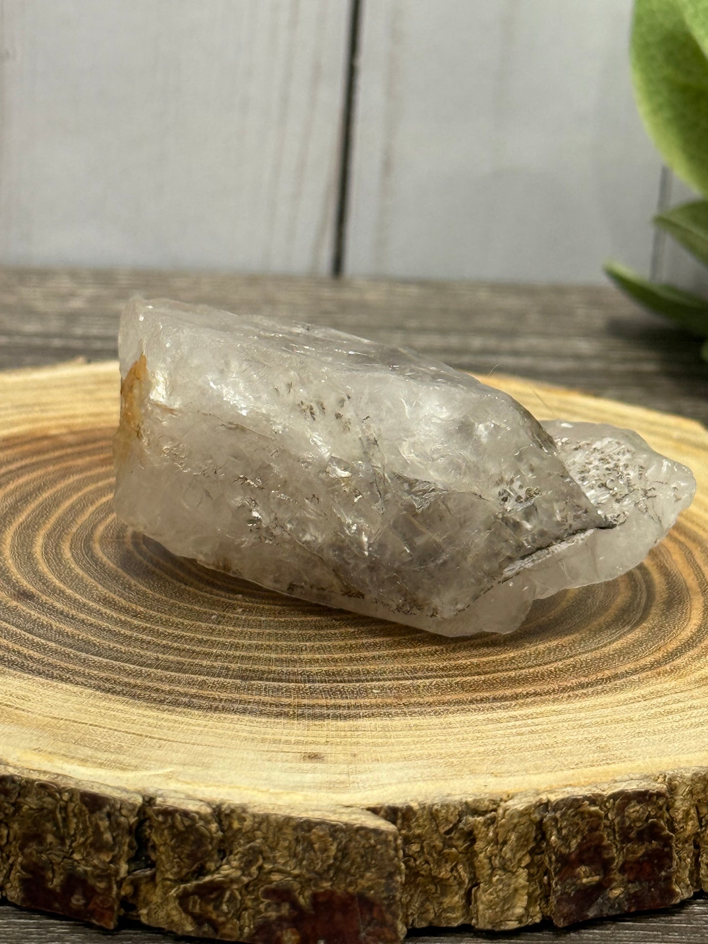 Dendritic Quartz Raw