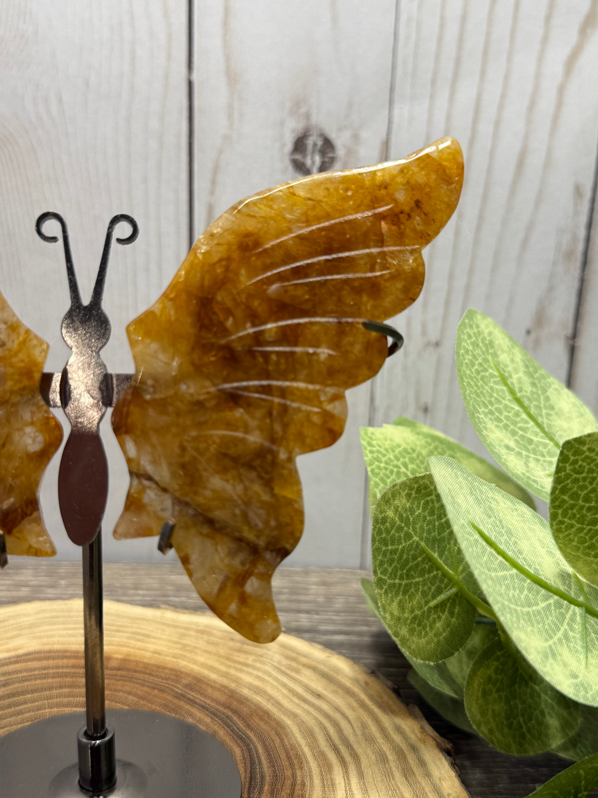 Butterfly Wings on Stand - Golden Healer