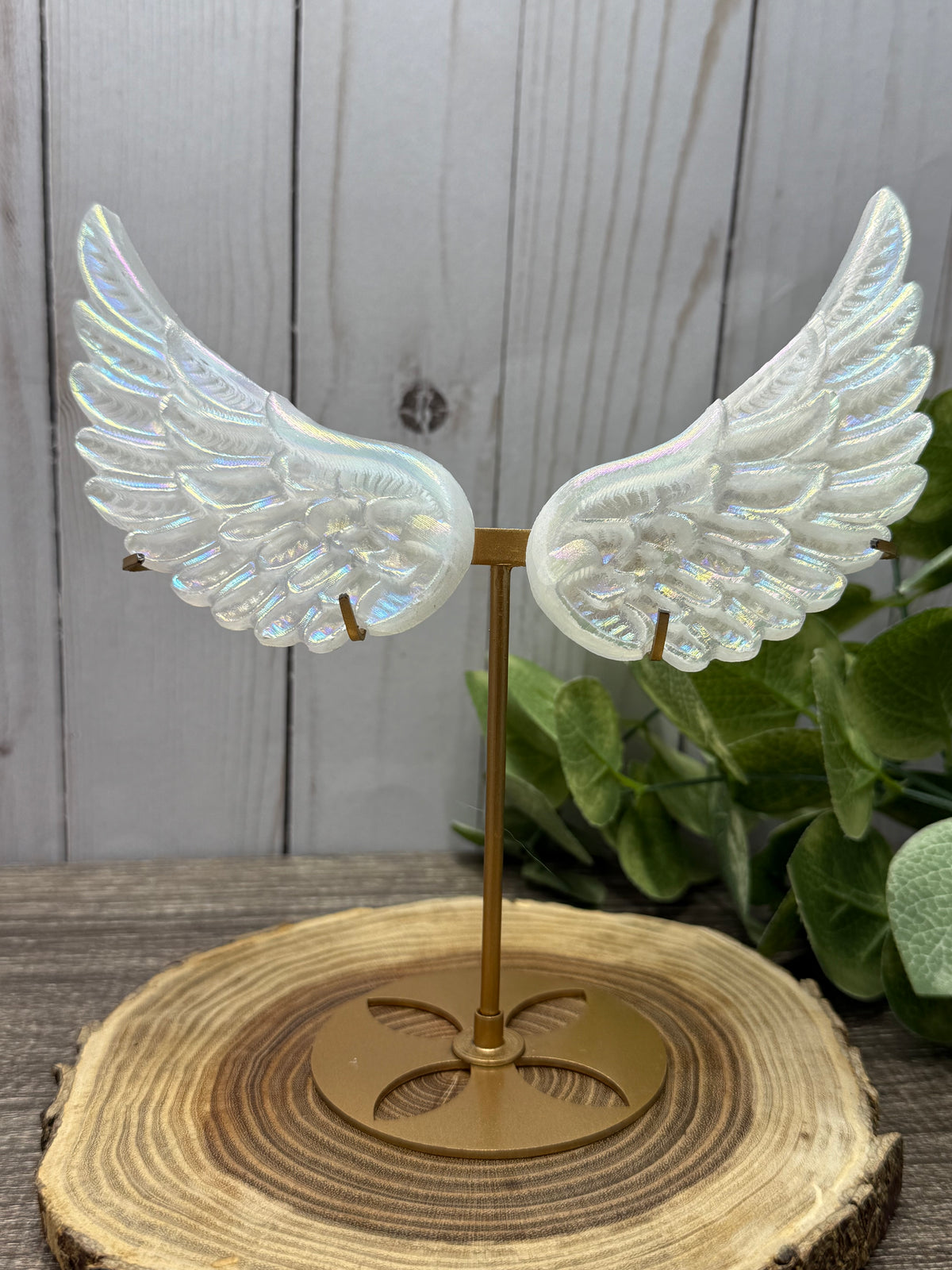 Small Selenite Wings with Stand