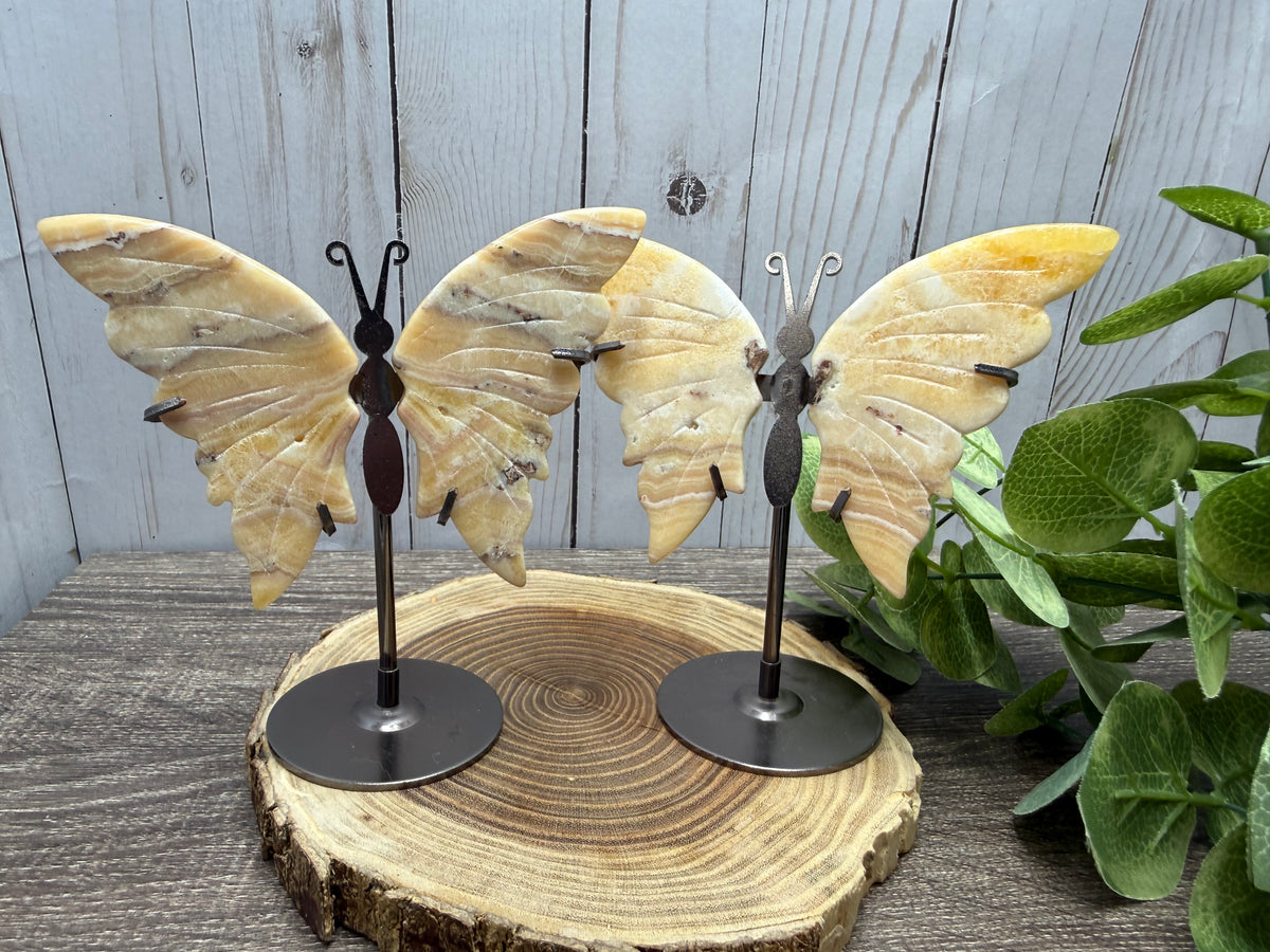 Butterfly Wings on Stand - Orange Calcite