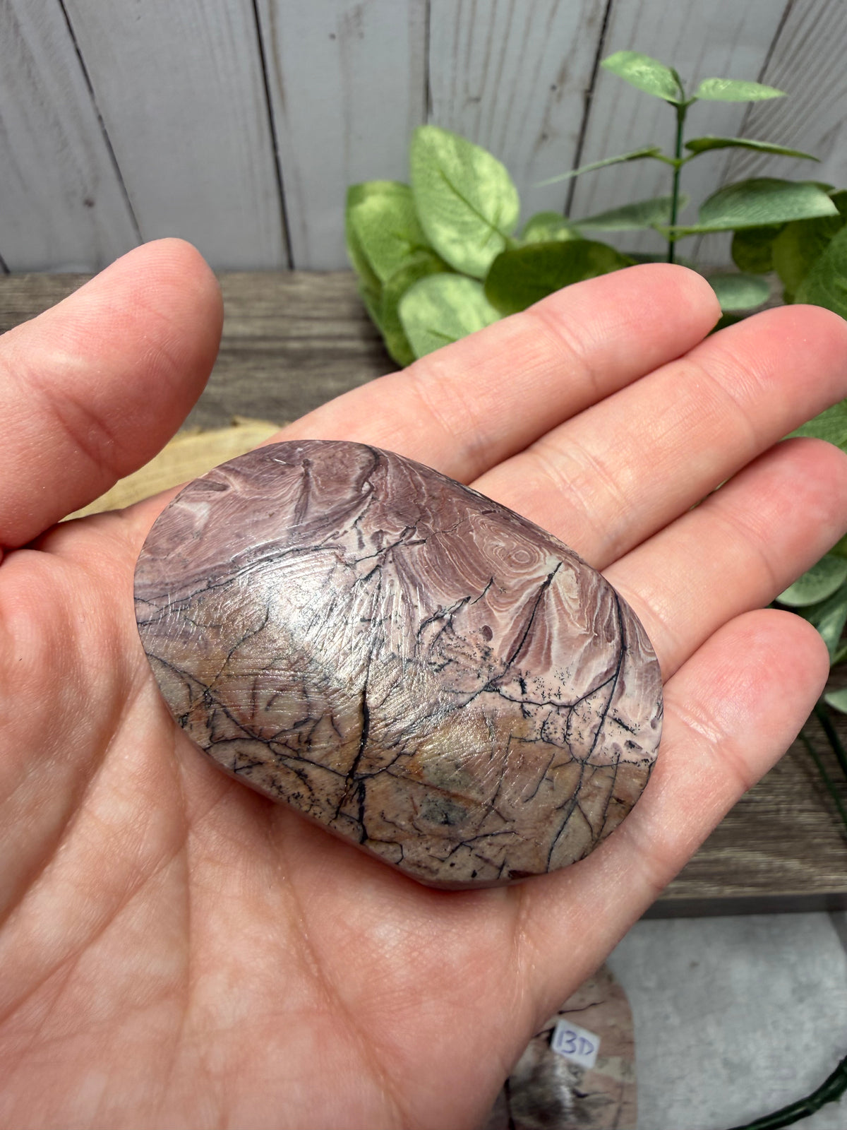 Picture Jasper Palm Stones