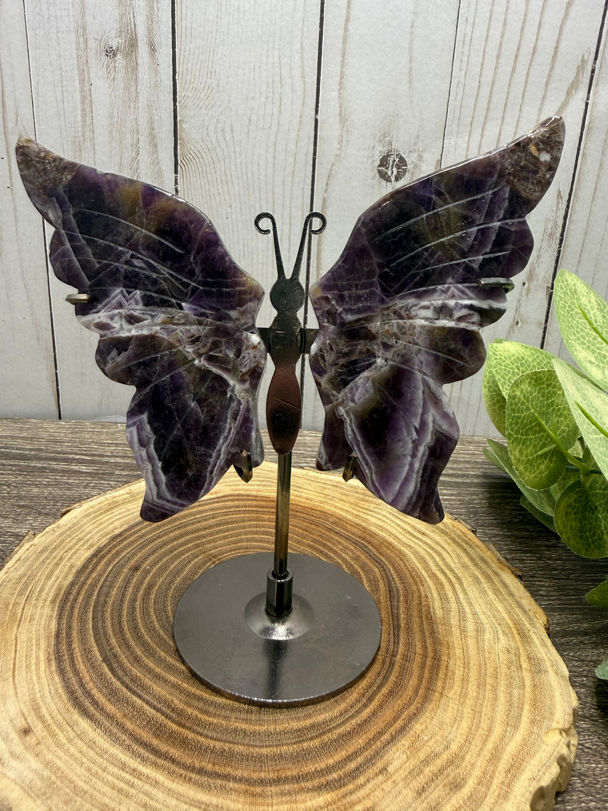 Butterfly Wings on Stand - Dream Amethyst