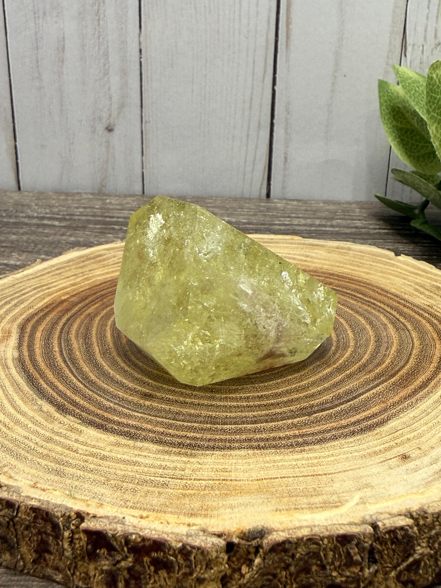Citrine Freeforms - Rainbow Filled