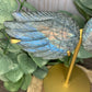 Labradorite Wings Lg