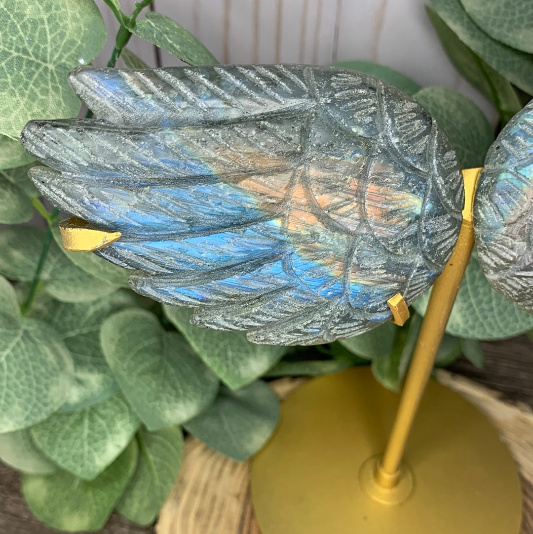 Labradorite Wings Lg