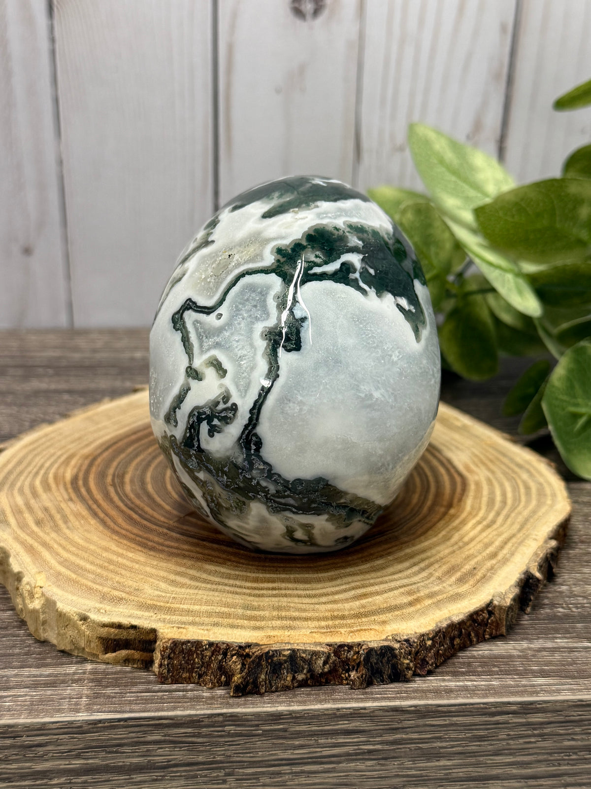 Large Moss Agate Skull