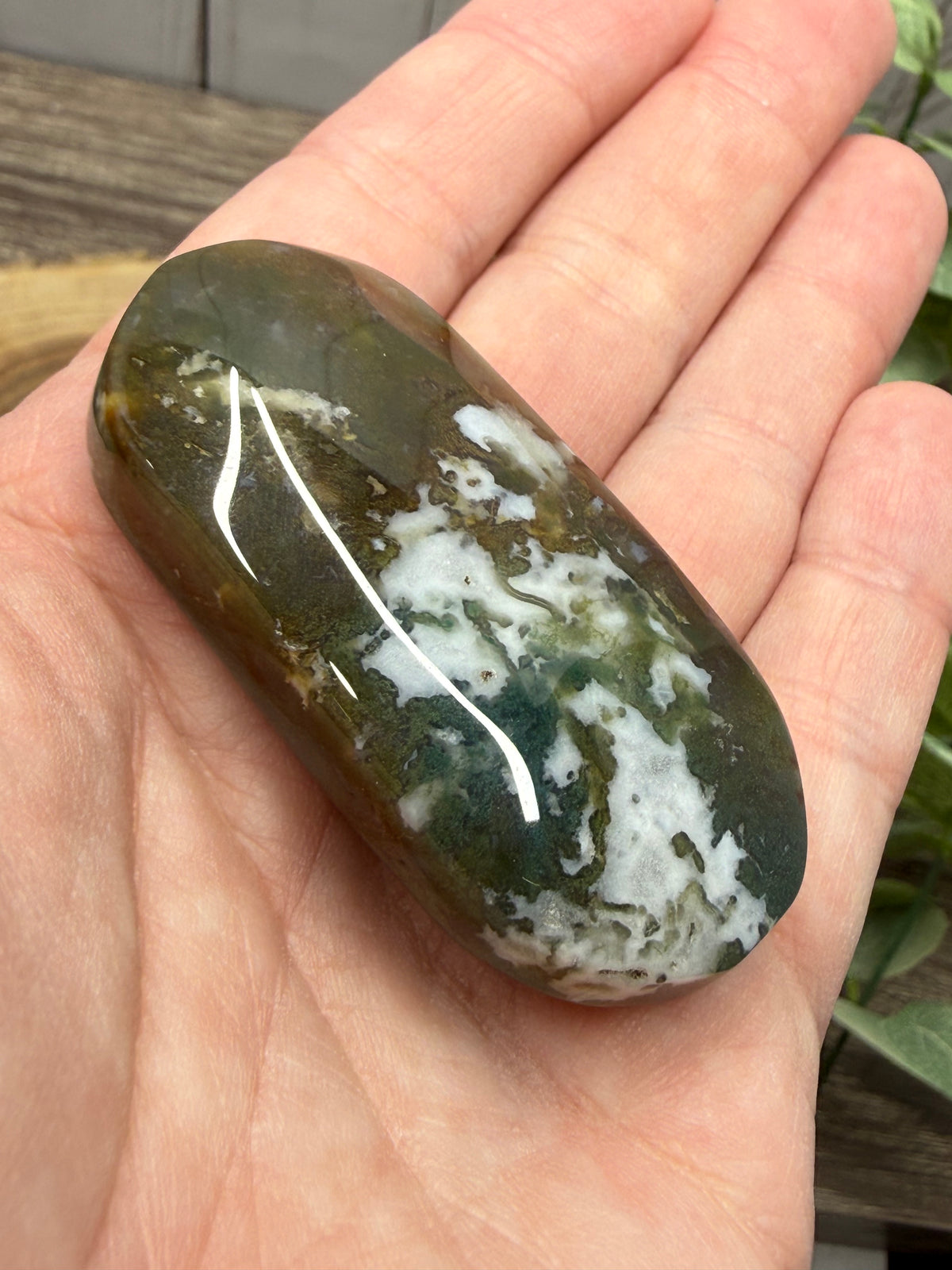 Moss Agate Palm Stones