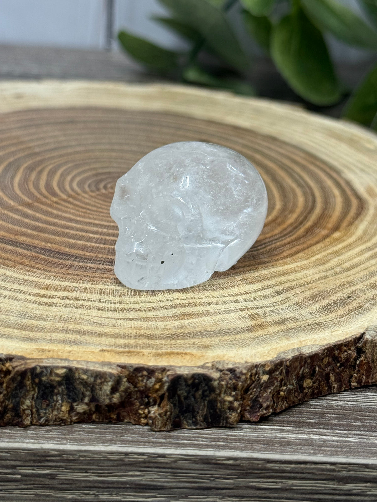 Skull Carvings - small