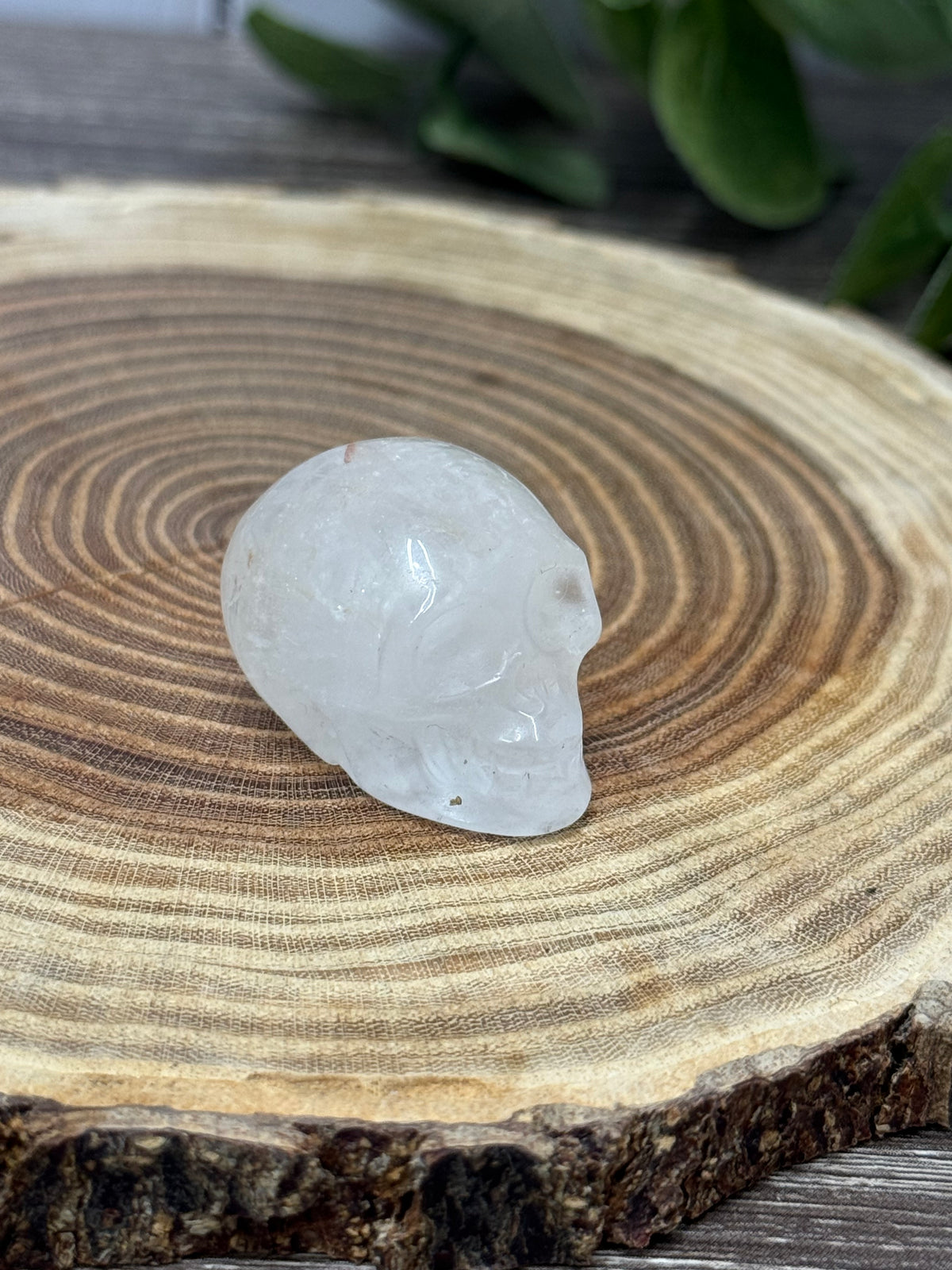 Skull Carvings - small