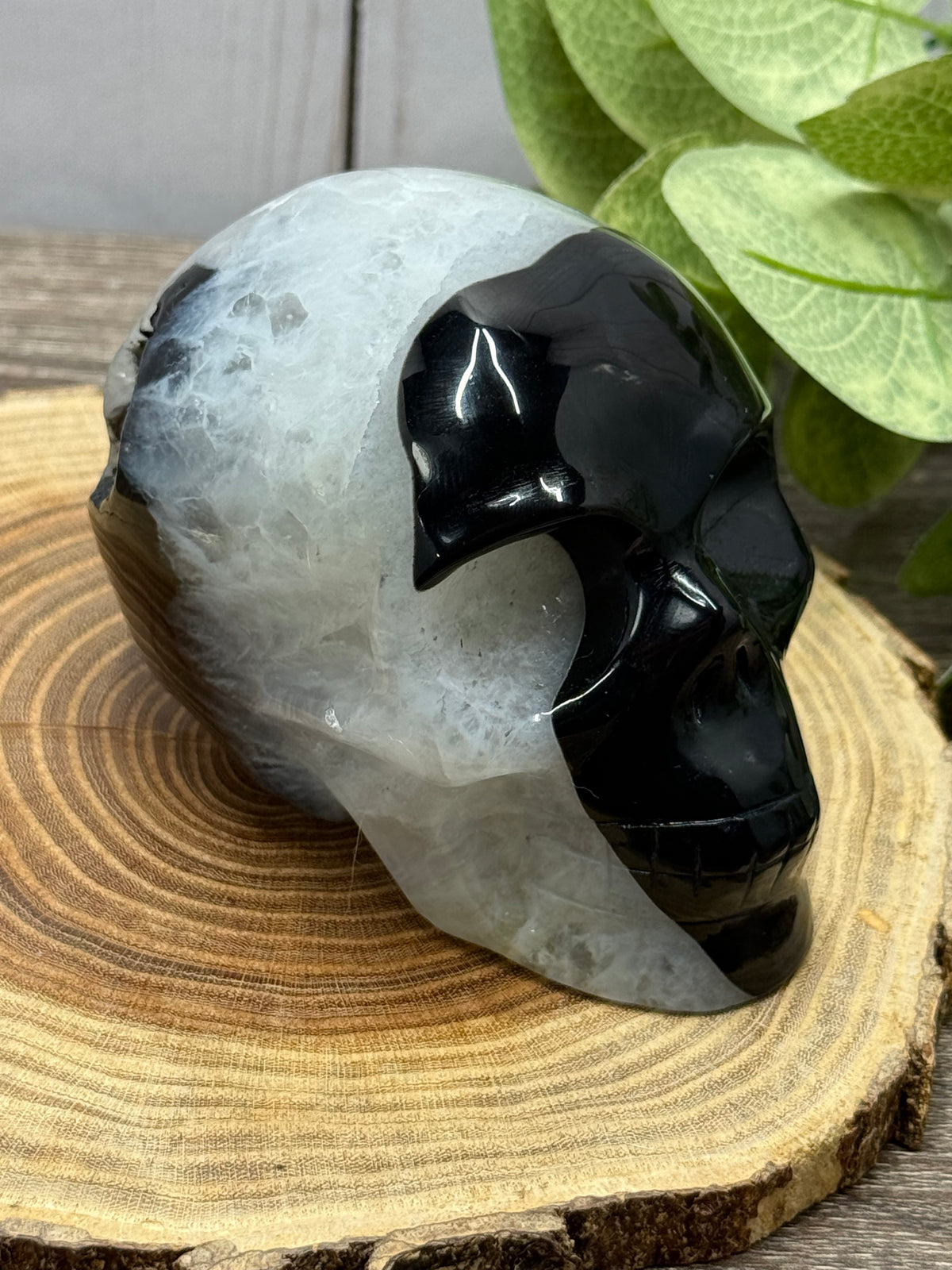 Black Agate Skulls