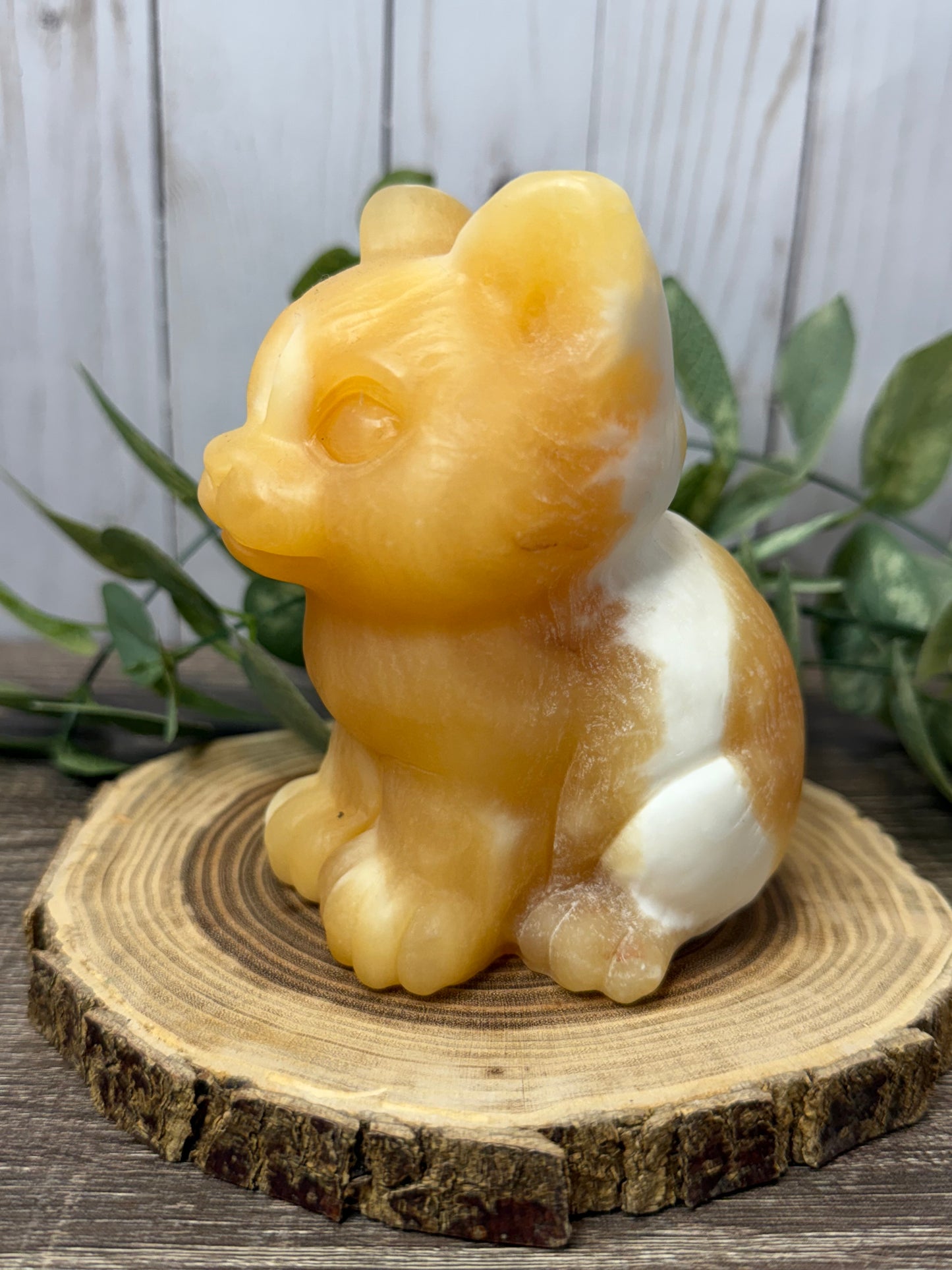Cat Carvings -Large