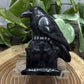 Bird on Toombstone - Sheen Obsidian