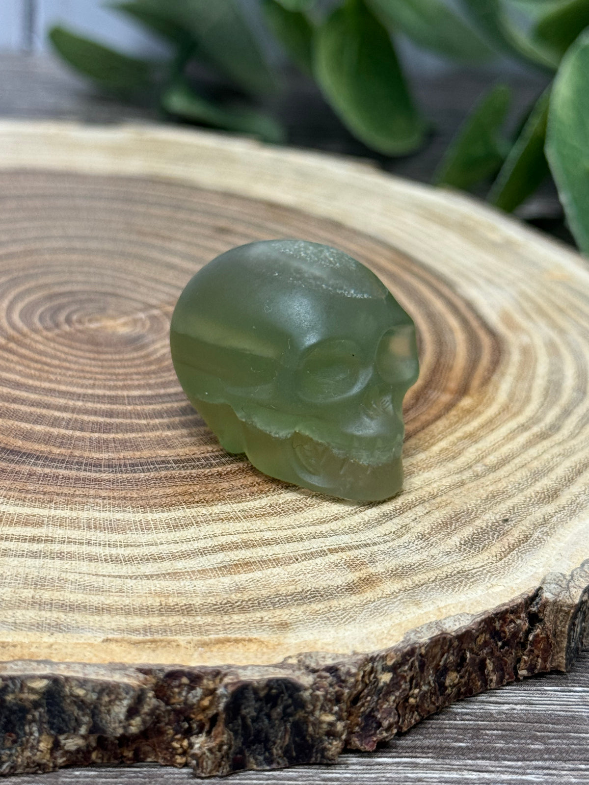 Skull Carvings - small