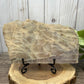 Grey Moonstone Slab