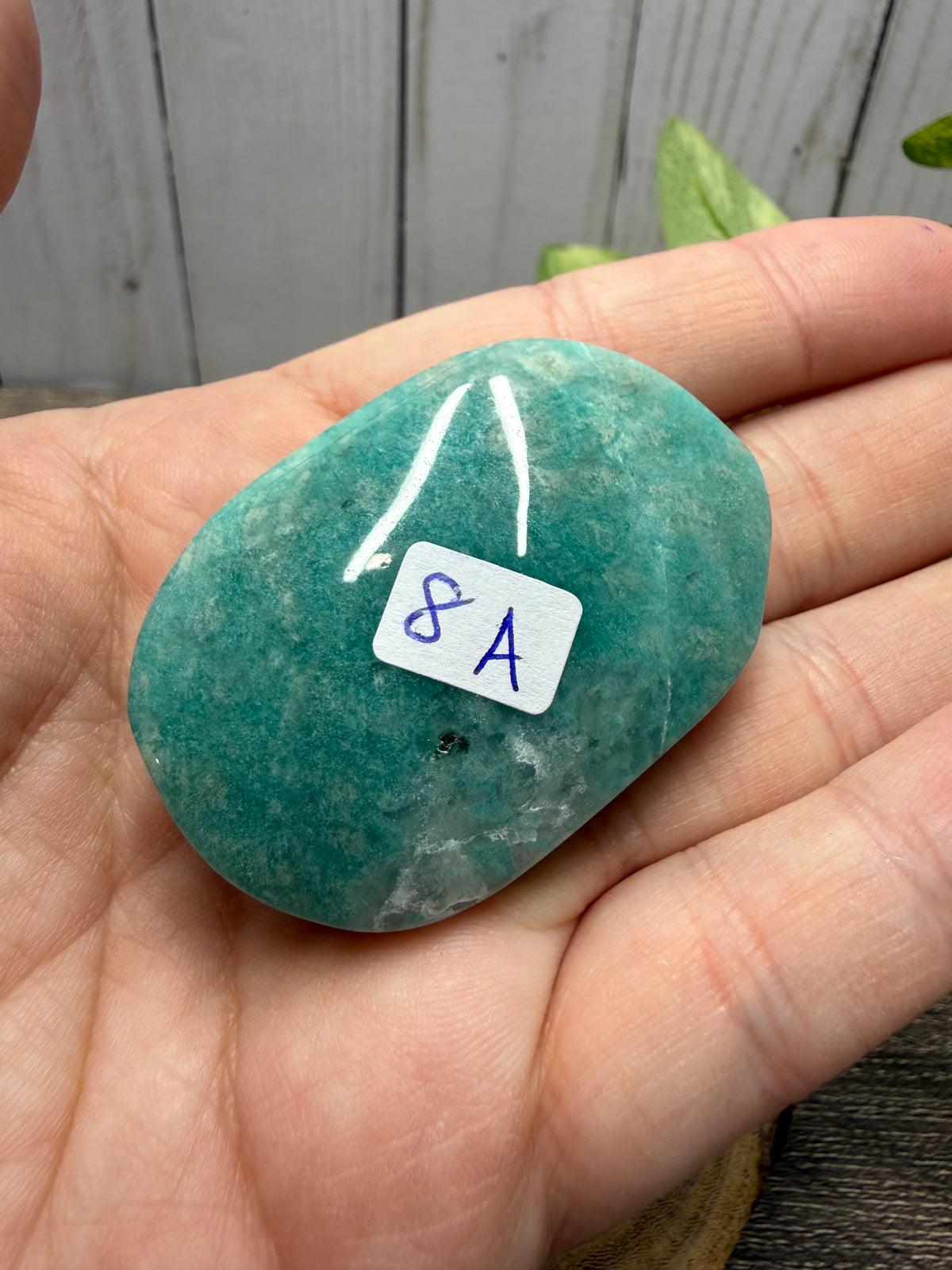 Amazonite Palm Stones