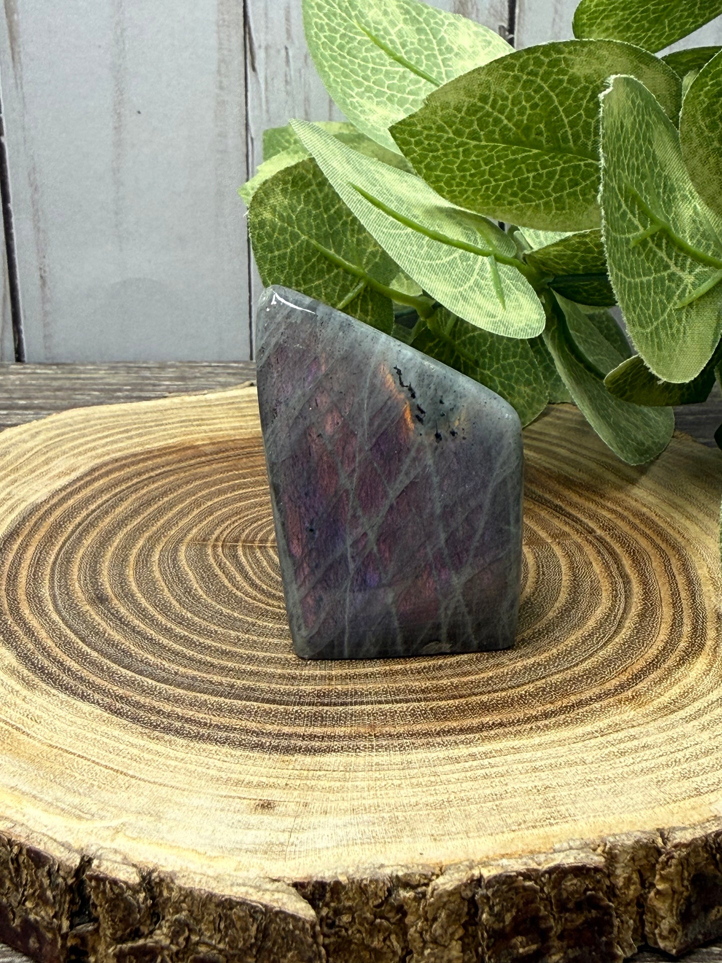 Labradorite Freeforms