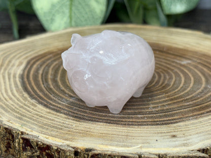 Pig with Mohawk Sunglasses - Rose Quartz