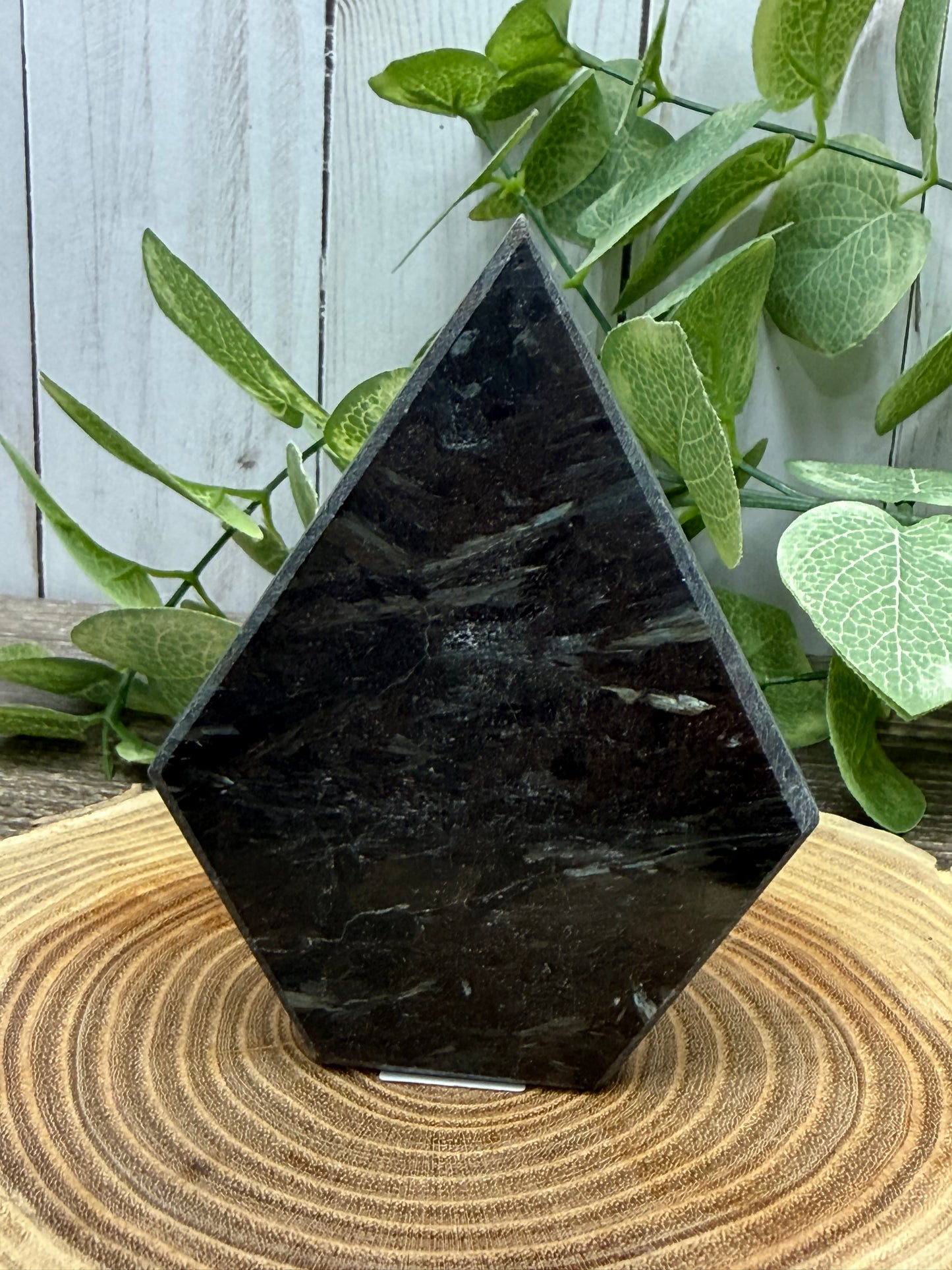Garnet and Astrophyllite Freeform