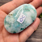 Phoenix Stone Palm Stones