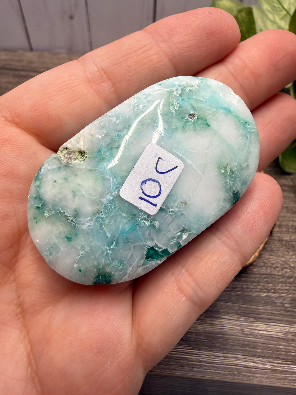 Phoenix Stone Palm Stones