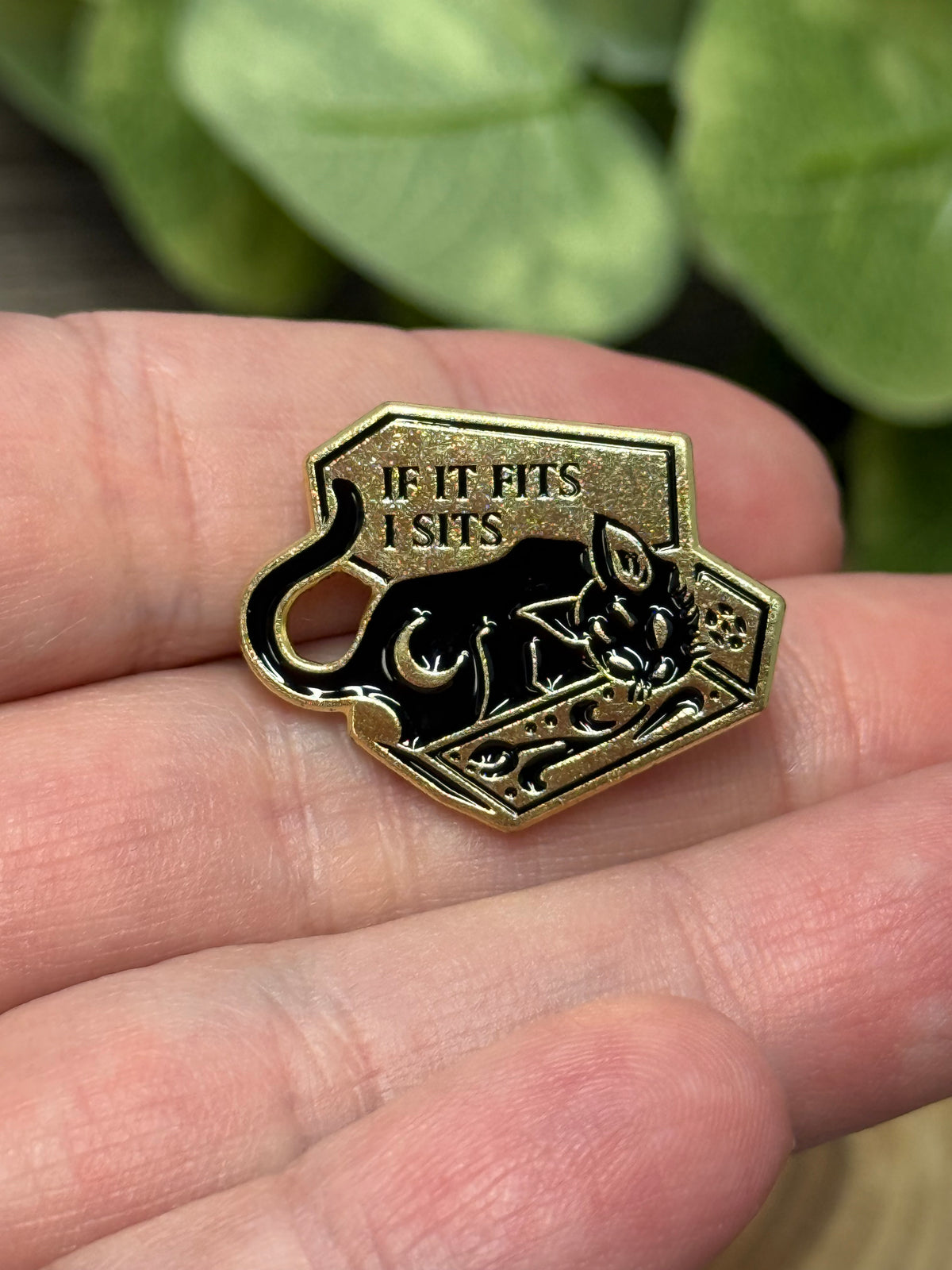 Cat and Coffin Pin - If it Fits I Sits