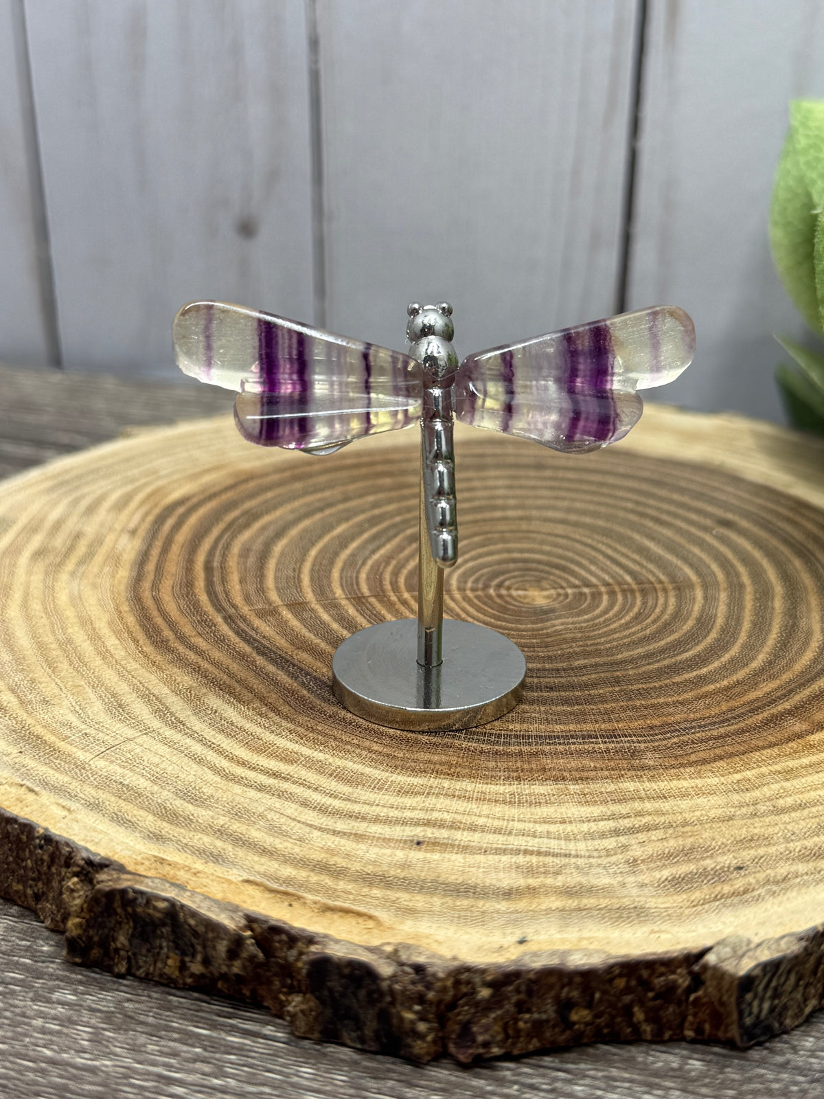 Small Dragonfly Wings on Stand - Fluorite