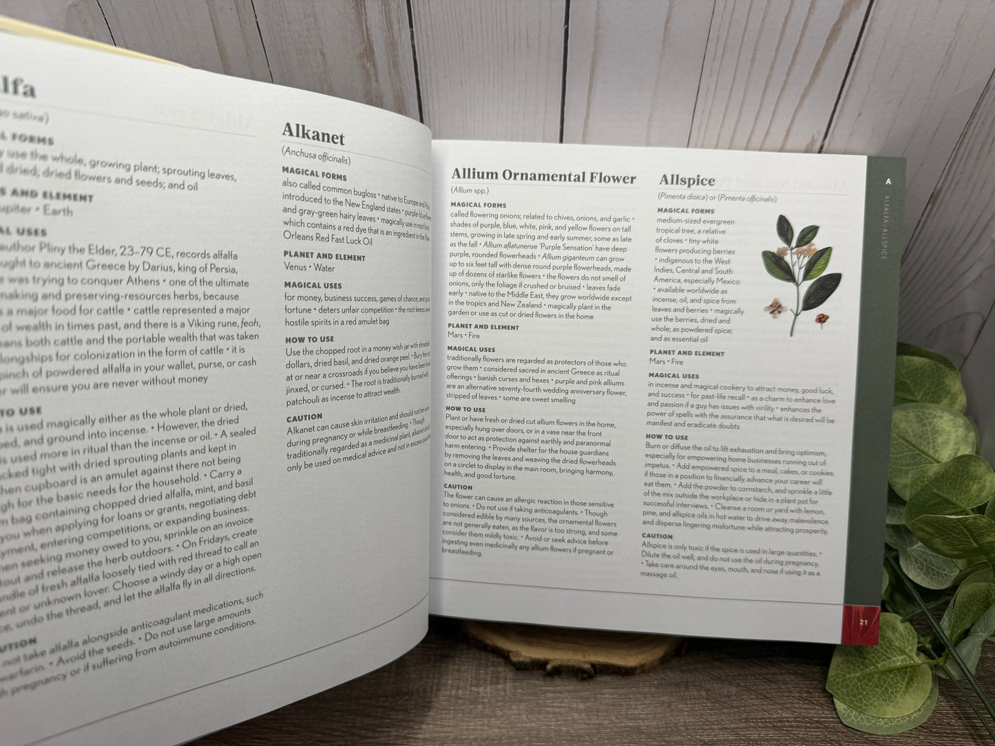 1001 Magical Plants: The Complete Book of Botanicals for Every Purpose