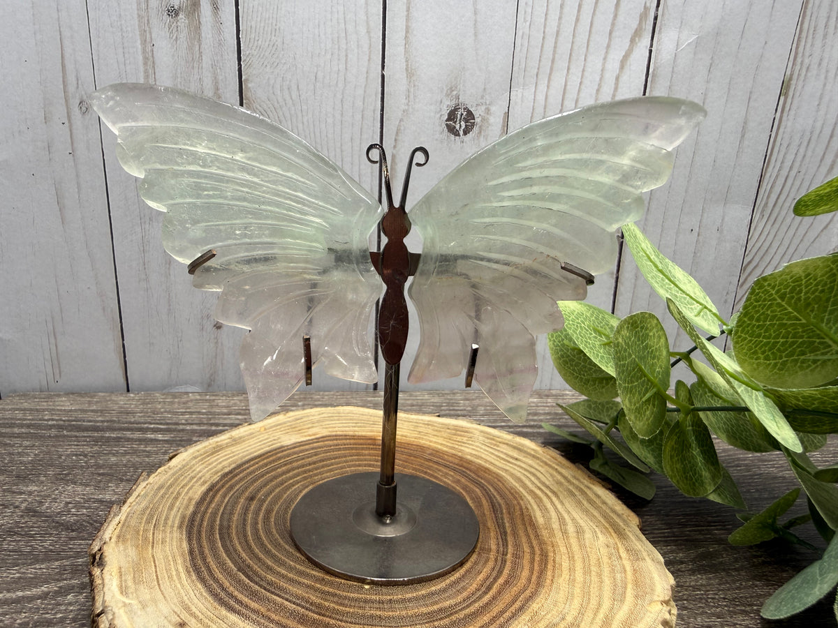 Butterfly Wings on Stand - Fluorite