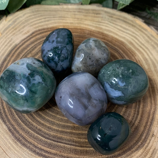 Moss Agate Tumbles