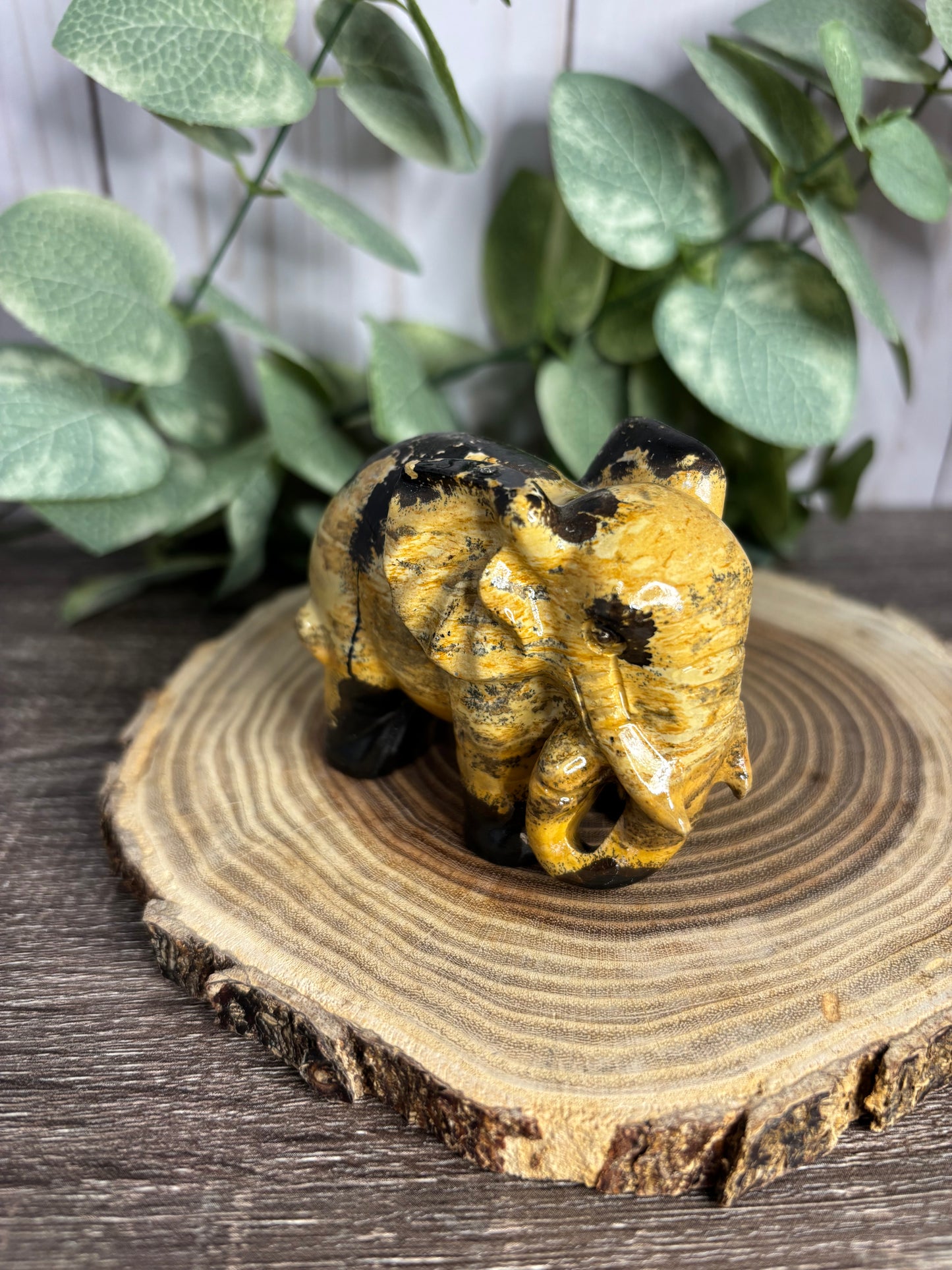 Elephant - Picture Jasper Carvings