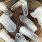 Sugar Points - Raw Material