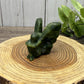 Fairy Carvings