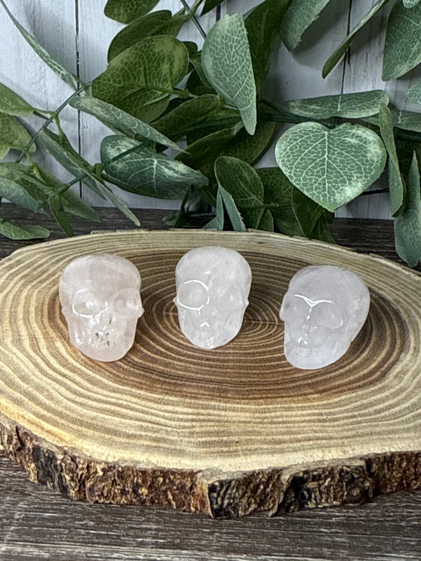 Skull Carvings