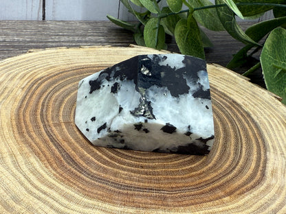 Rainbow Moonstone Freeforms