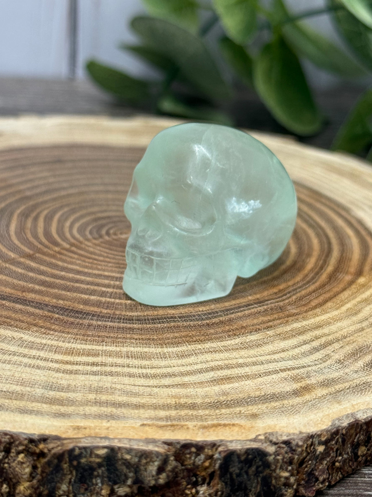 Skull Carvings - small