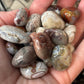 Crazy Lace Agate Tumbles