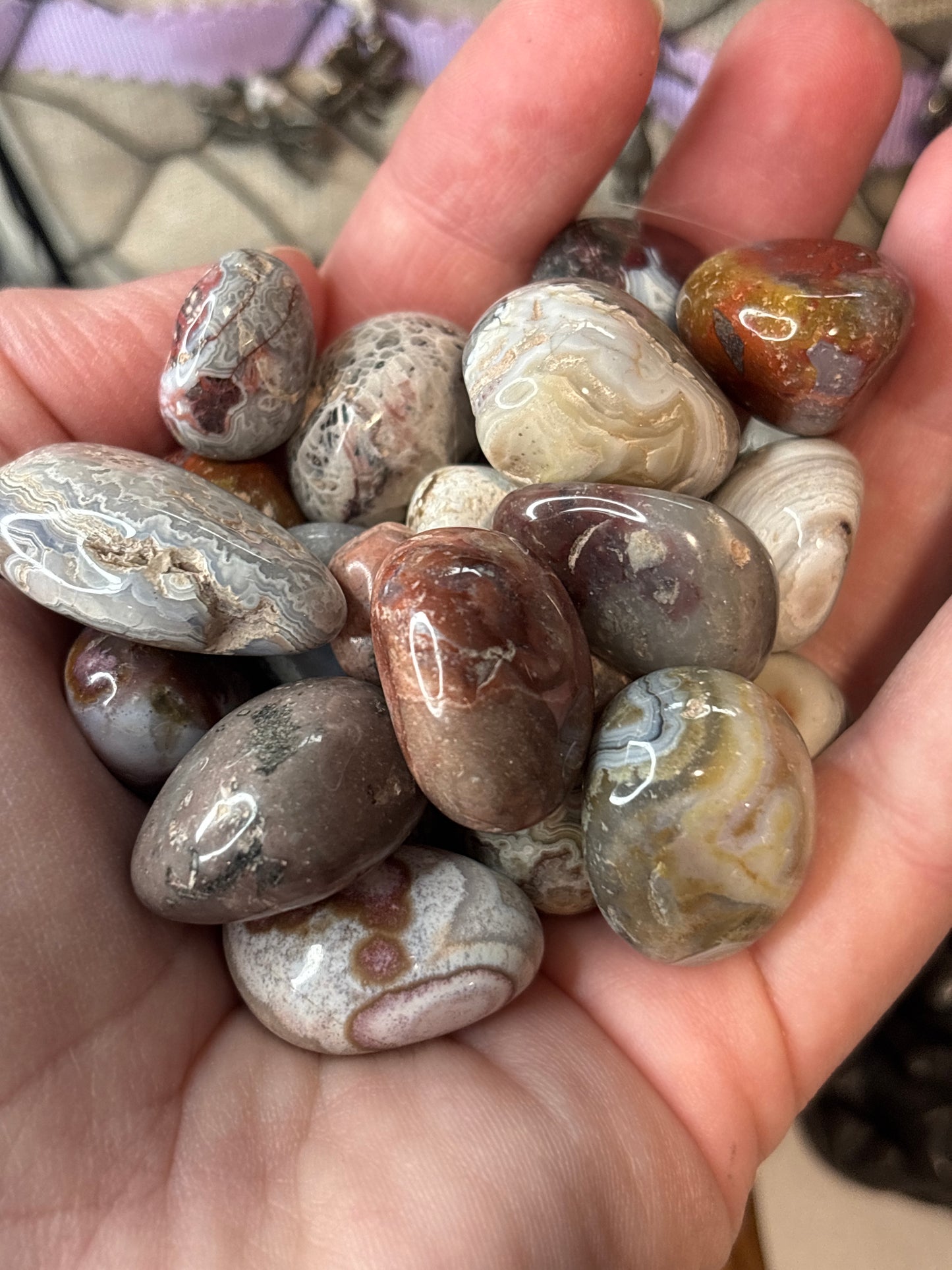 Crazy Lace Agate Tumbles