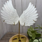XL Selenite Wings with Stand