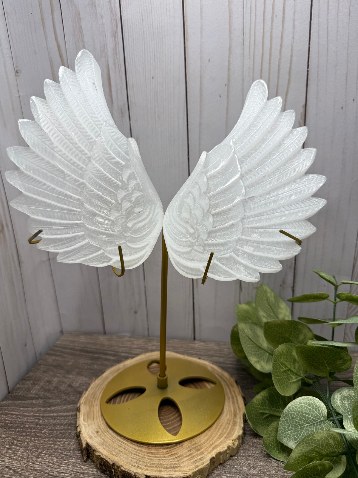 XL Selenite Wings with Stand