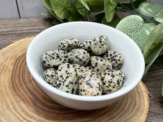 Dalmation Jasper Tumble