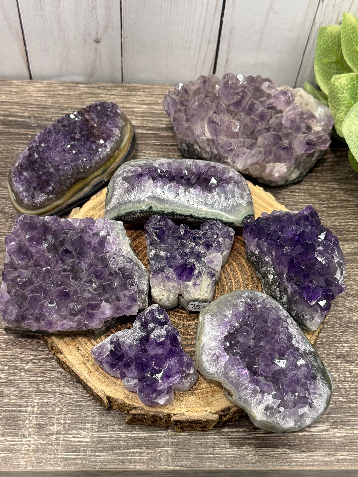 Amethyst Clusters
