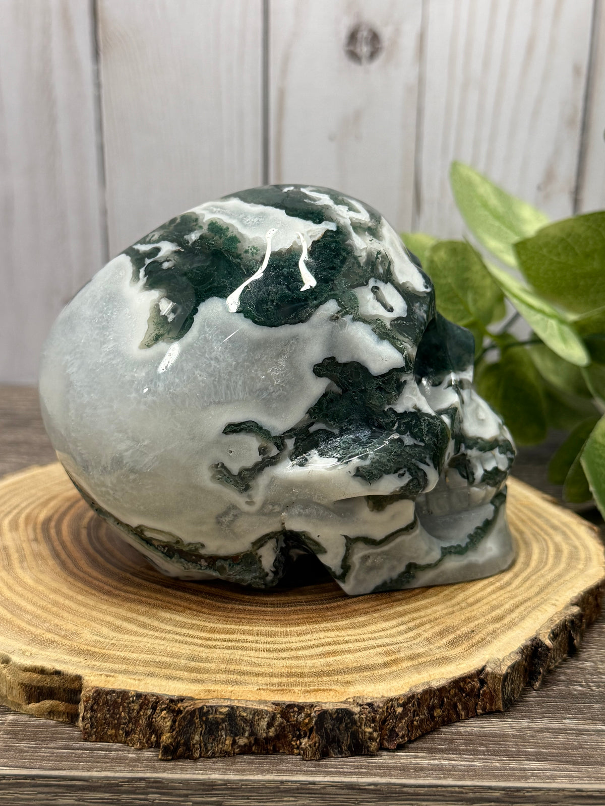 Large Moss Agate Skull