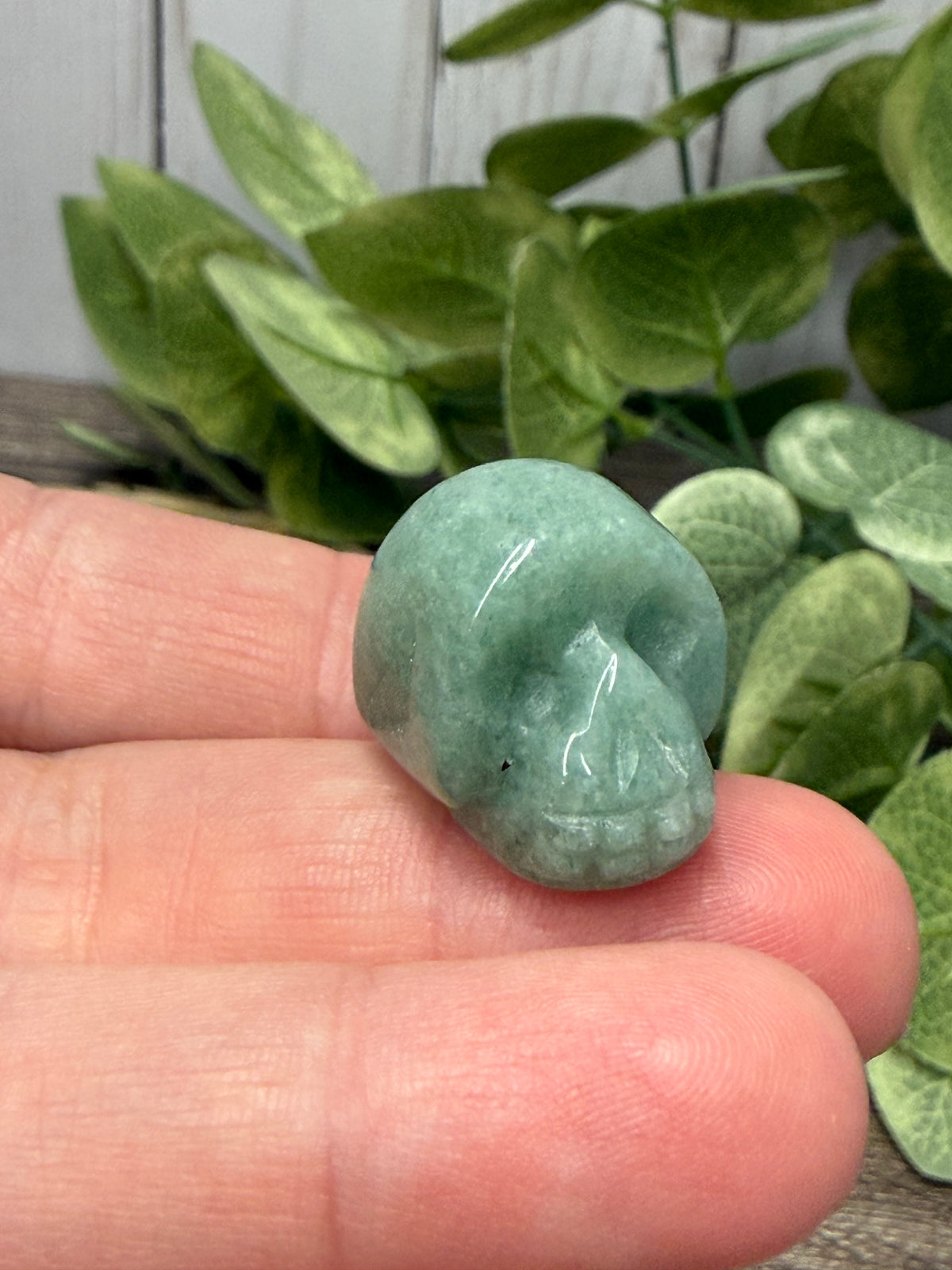 Skull Carvings - Extra Smaill