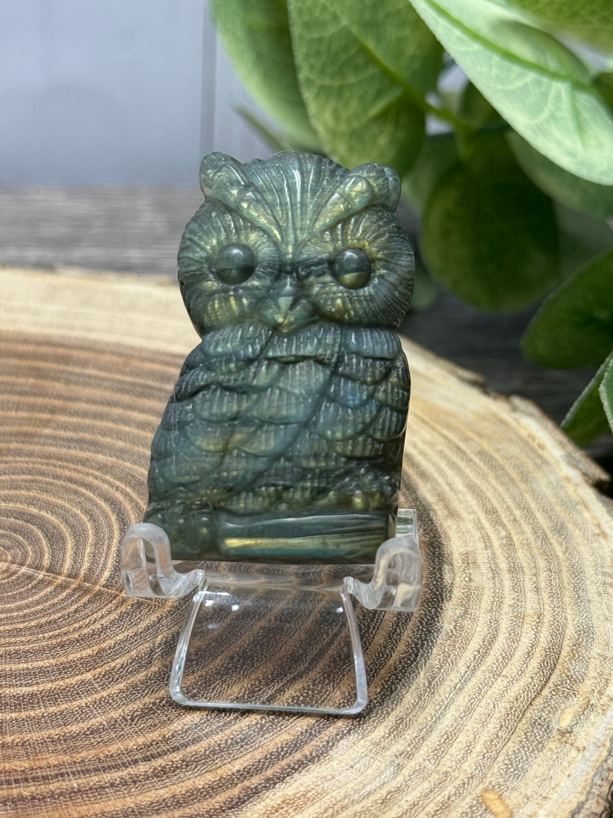 Owl - Labradorite Carvings